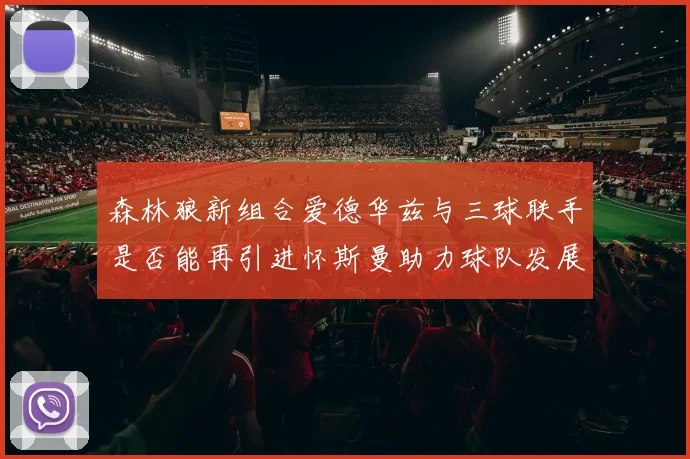 森林狼新组合爱德华兹与三球联手是否能再引进怀斯曼助力球队发展