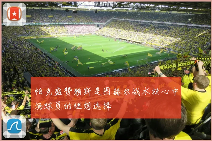 帕克盛赞赖斯是图赫尔战术核心中场球员的理想选择