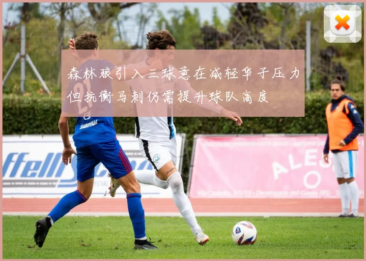 森林狼引入三球意在减轻华子压力但抗衡马刺仍需提升球队高度